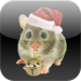 Hamster Holidays